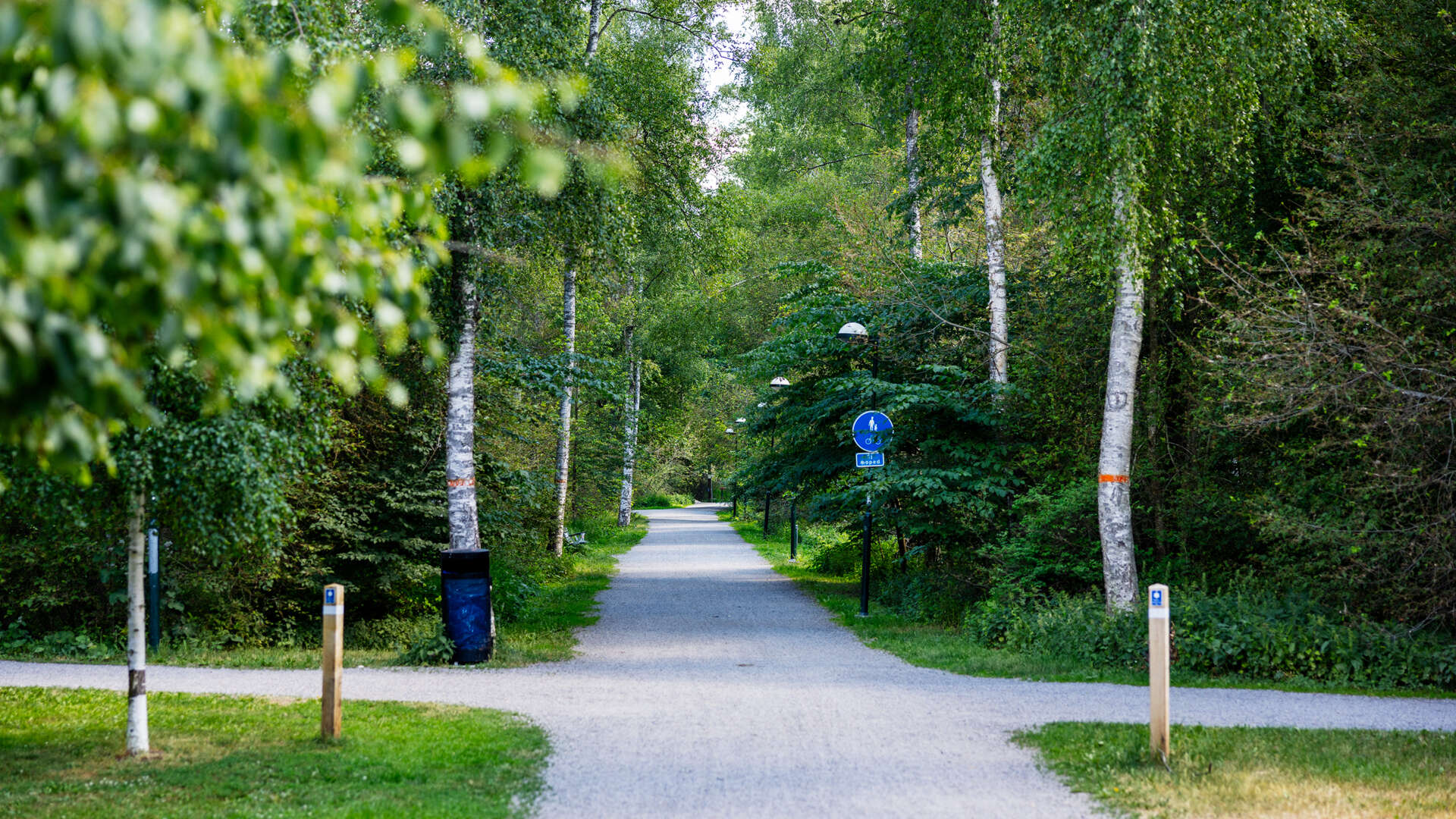 Björkhagen gångväg