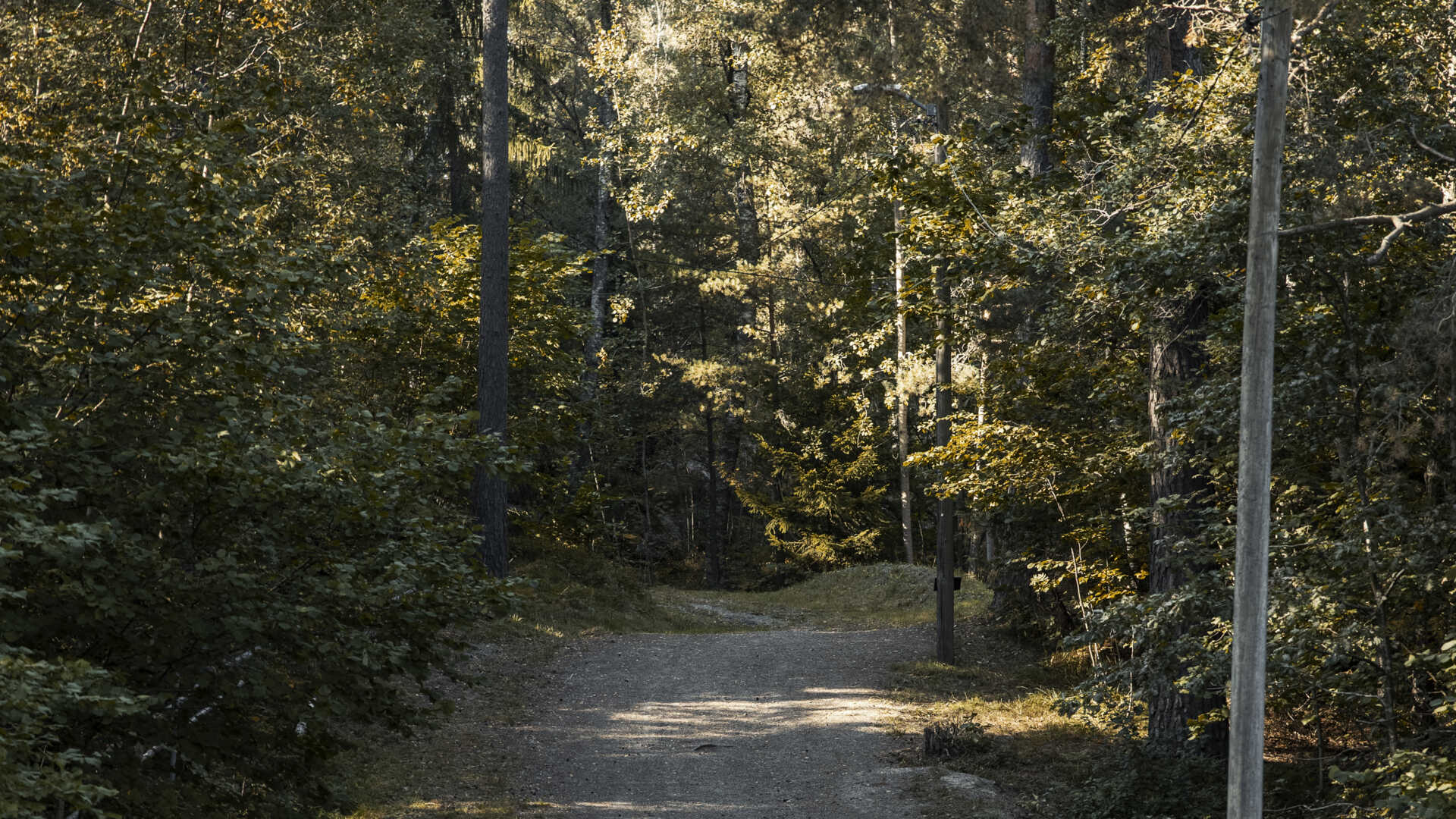 Elljusspår Rudan