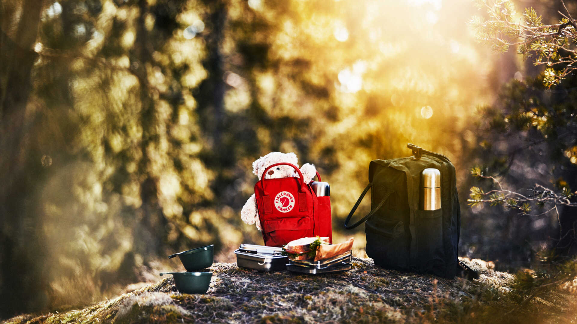 Picknickryggsäckar i skogen