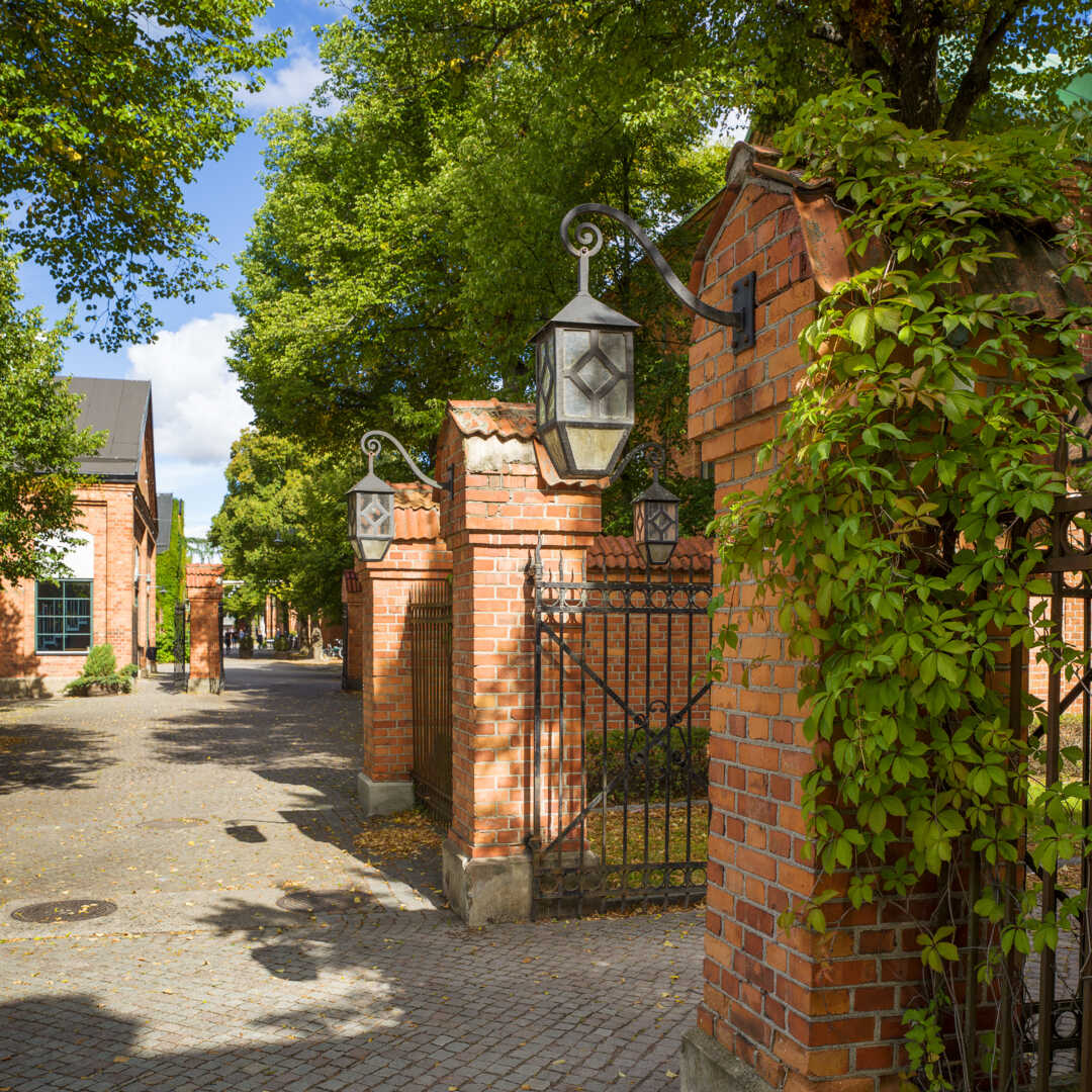 Kopparlinden i Västerås, promenadstrål