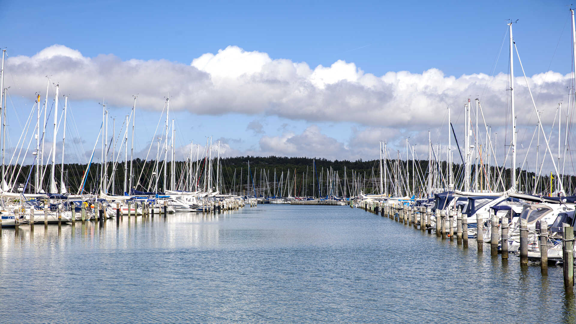 Hamn med segelbåtar i Björlanda Kile