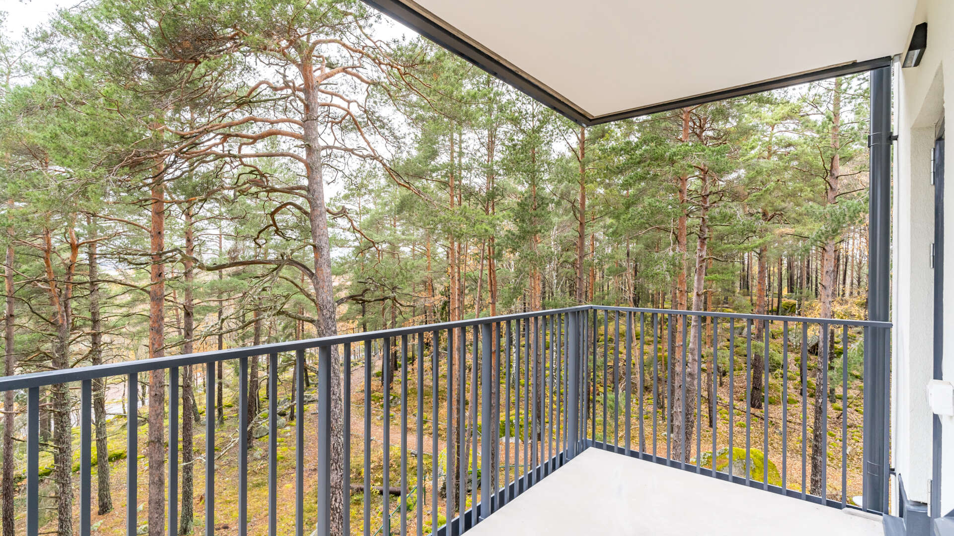 Balkong mot skogen