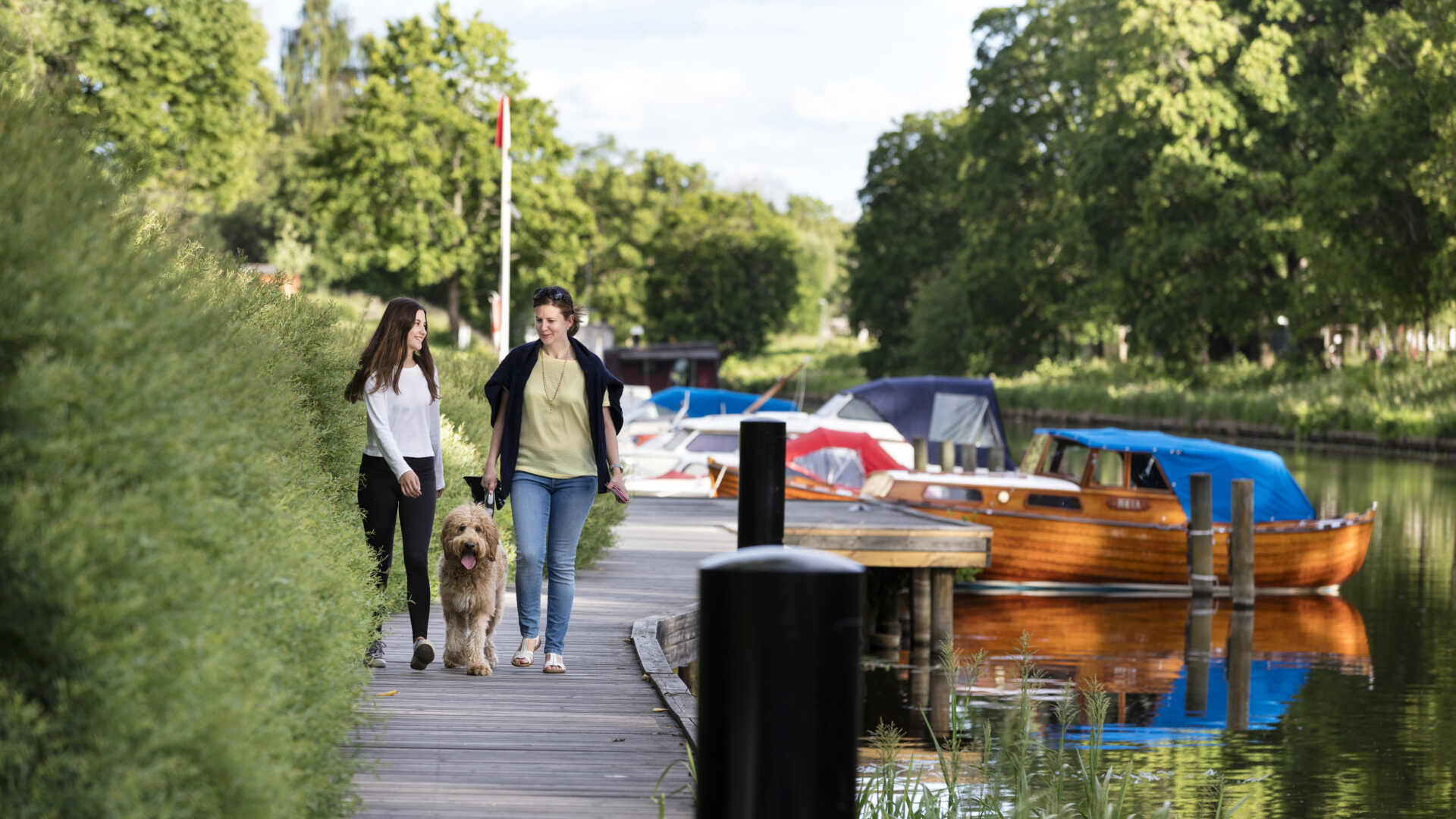 Hundpromenad vid Fyrisån