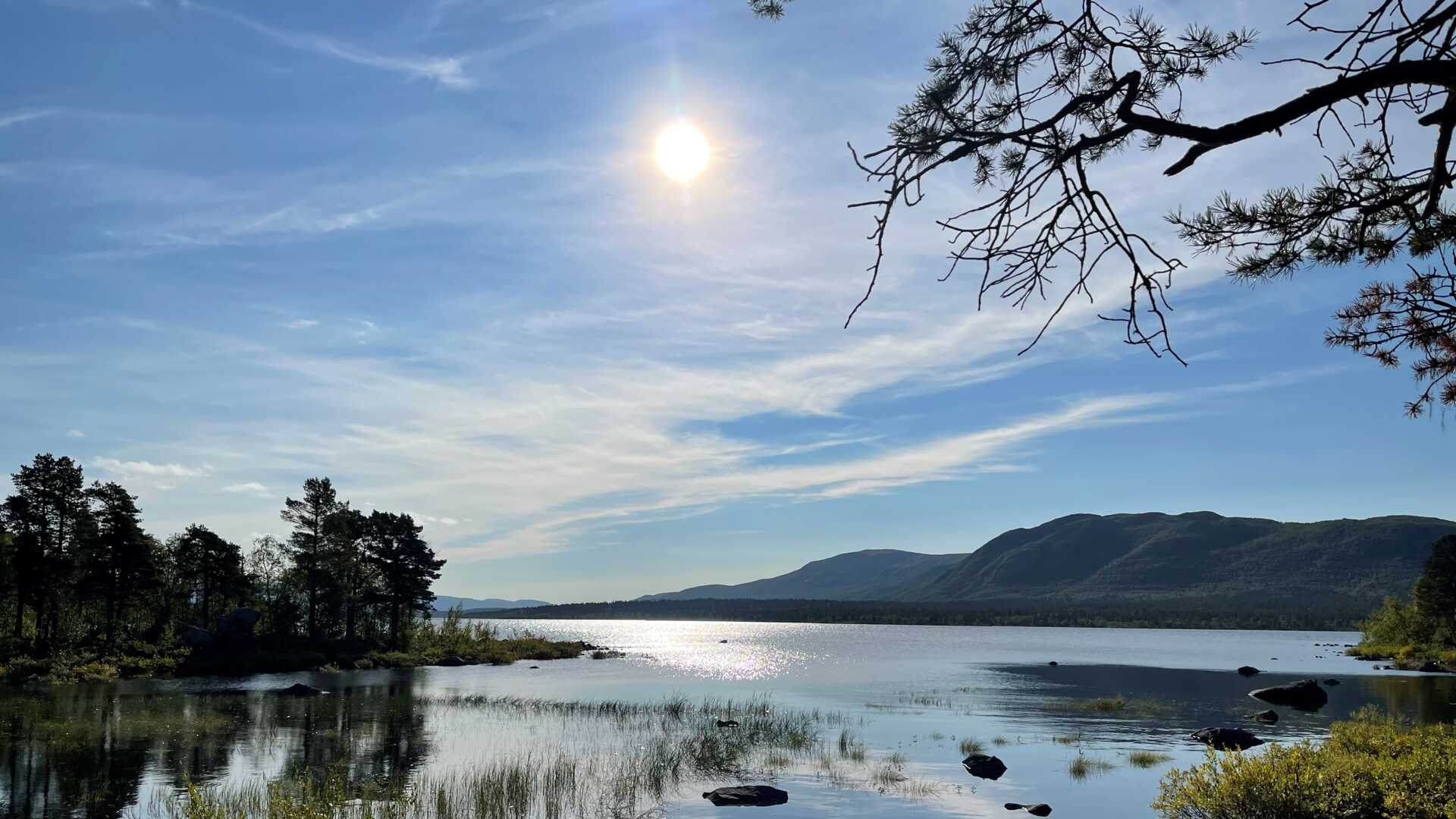 Fjäll och sjö