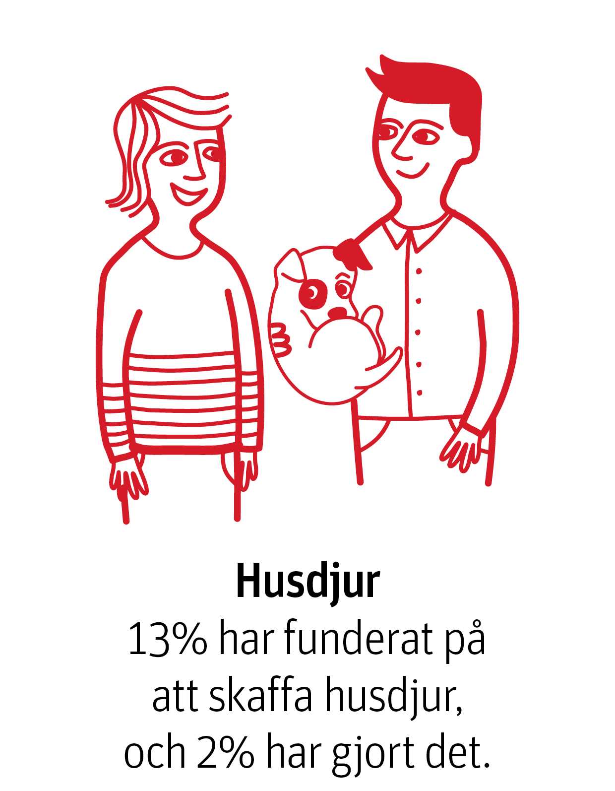 13% funderar på att skaffa husdjur