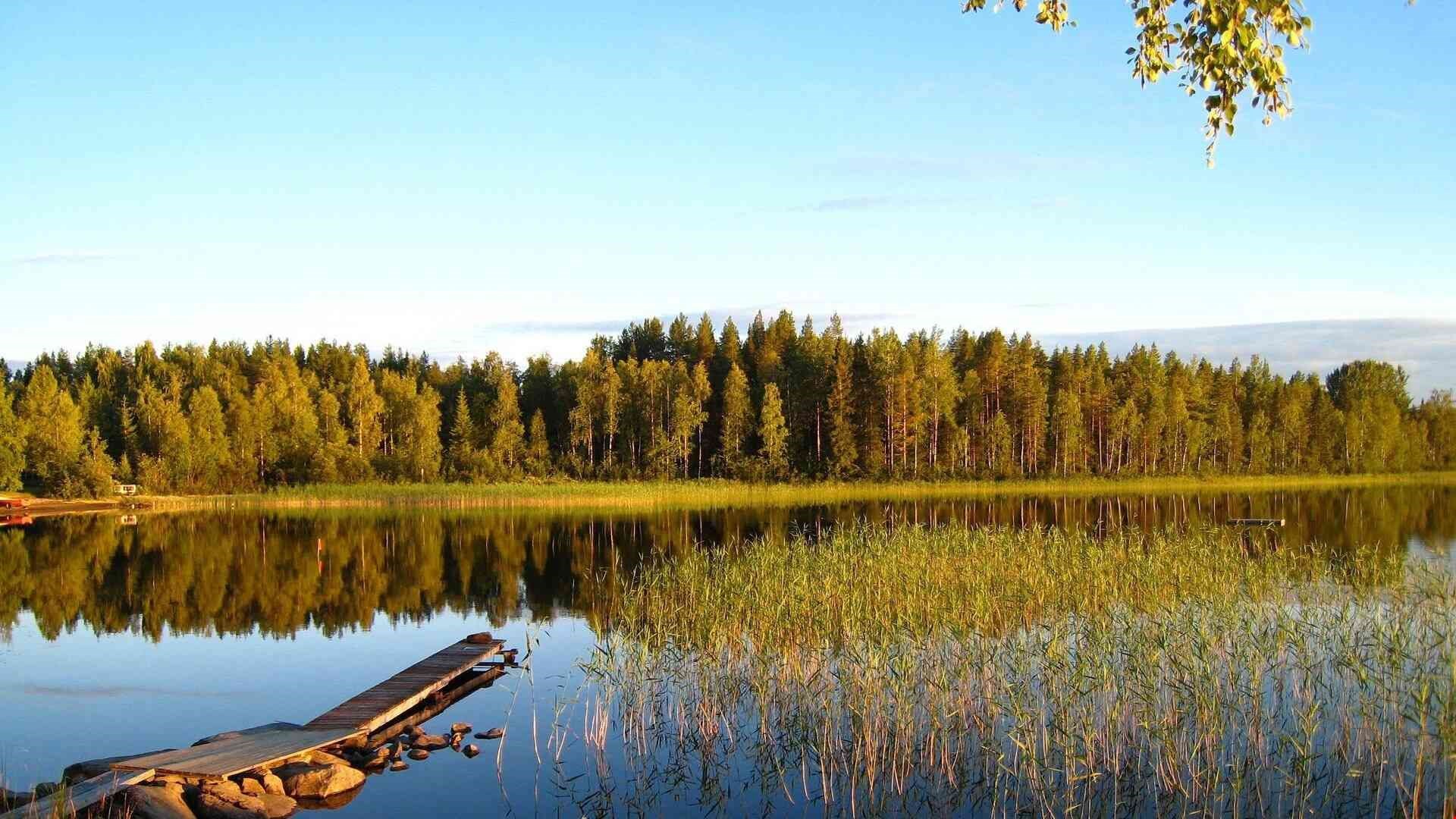 Naturbild sjö i Skellefteå